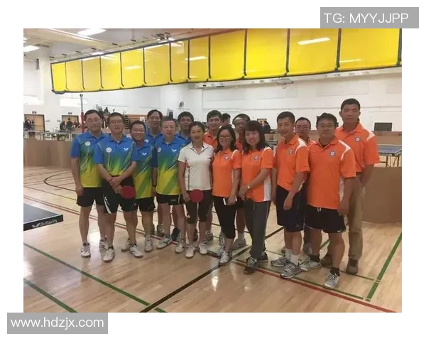 上海乒乓球队团队协作的成功经验与挑战分析