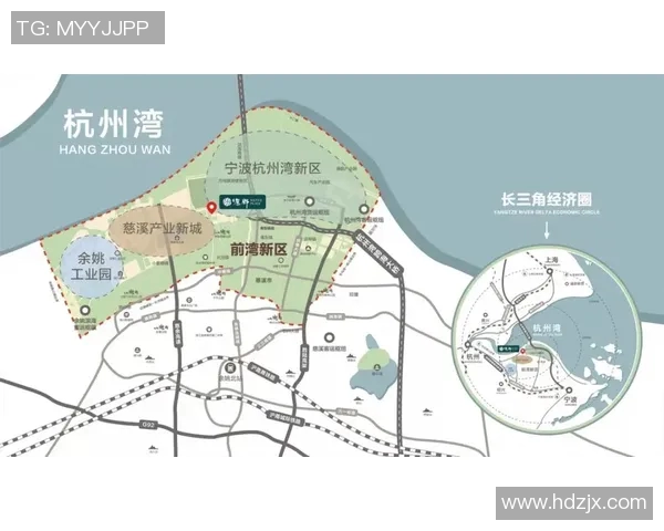 杭州排球队状态对比深度分析与未来发展趋势探讨 杭州排球队状态对比深度分析与未来发展趋势探讨