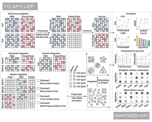 深圳网球队灵活性分析与表现评估探讨 深圳网球队灵活性分析与表现评估探讨