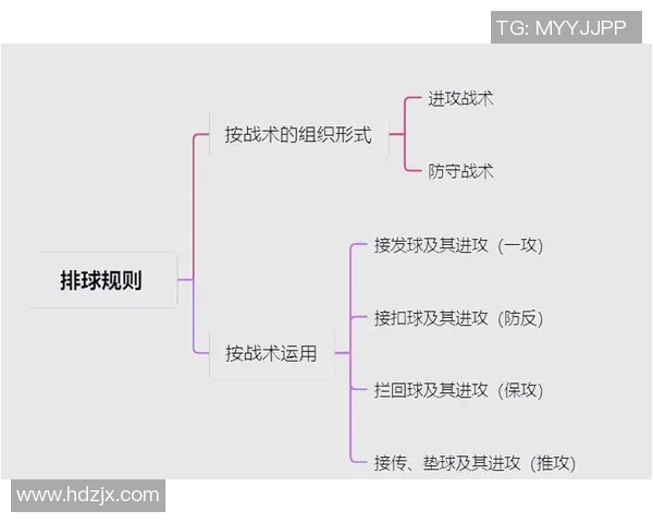 北京排球队节奏体系解析与战术创新探讨