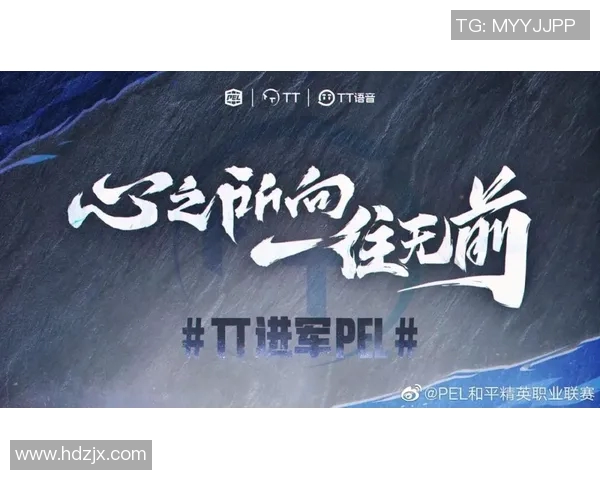 和平精英战队RNG深度解析团队配合与战术策略的成功之道 和平精英战队RNG深度解析团队配合与战术策略的成功之道