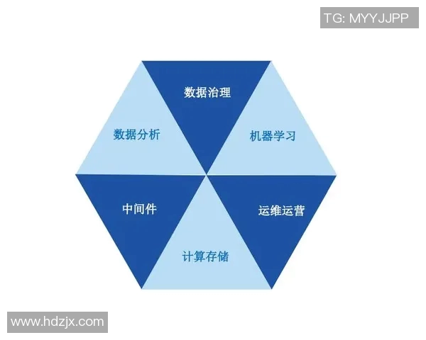 数据分析探讨WE灵活性表现及其对业务发展的影响