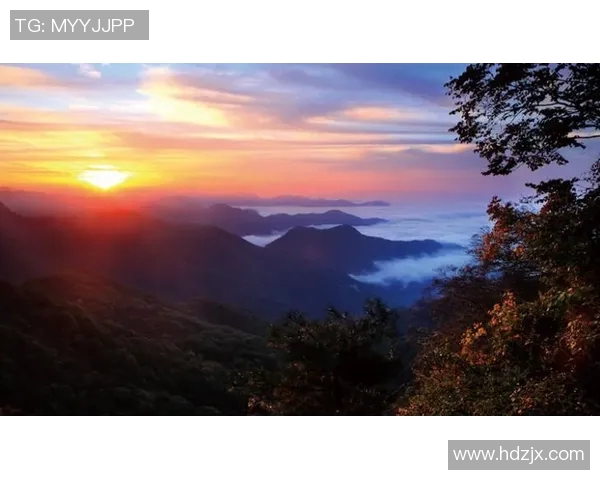 张军的攀岩人生：在高峰与深渊之间的深度对话与心灵探索